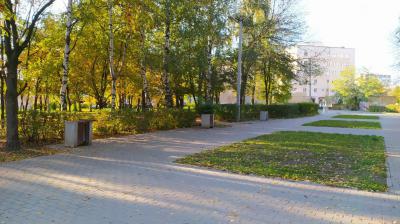 Новые скамейки в сквере у «Октября» в Рязани установят в будущем году